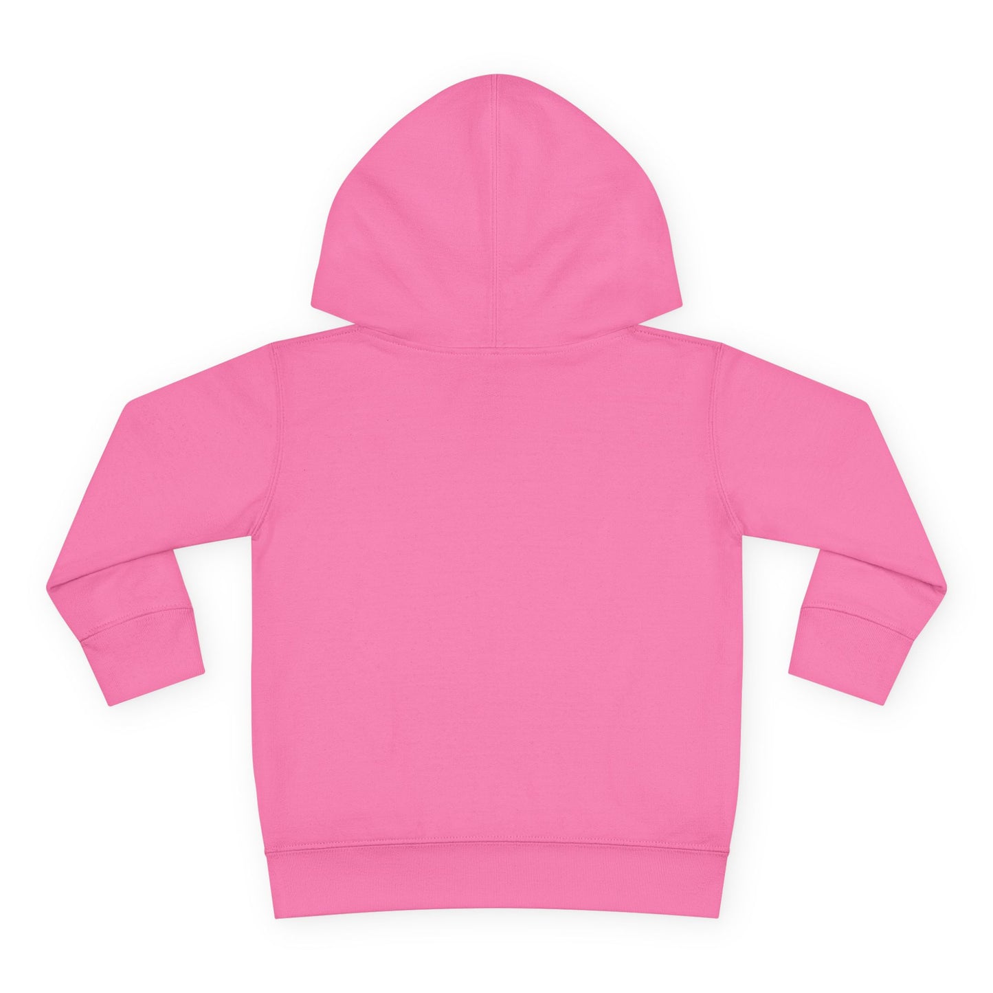 Toddler Hoodie — "My Auntie the Funtie" Cute Kids Pullover