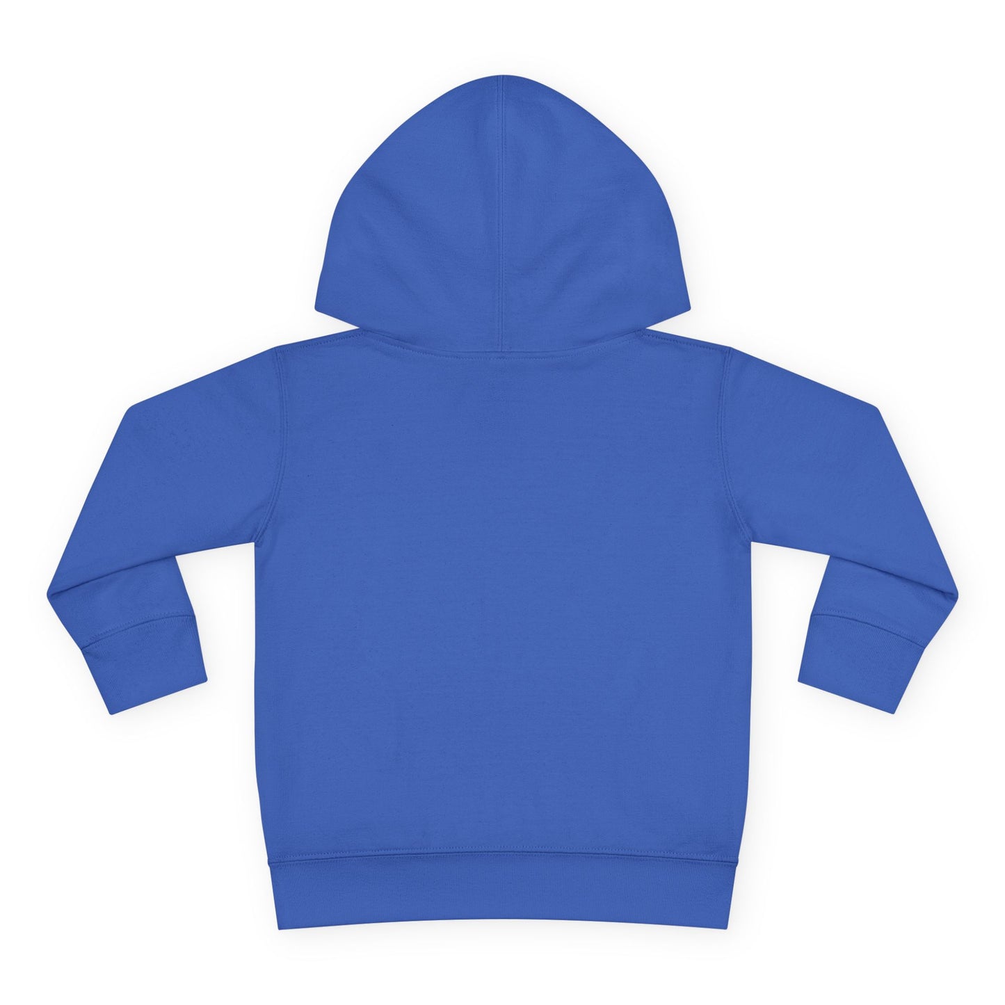 Toddler Hoodie — "My Auntie the Funtie" Cute Kids Pullover