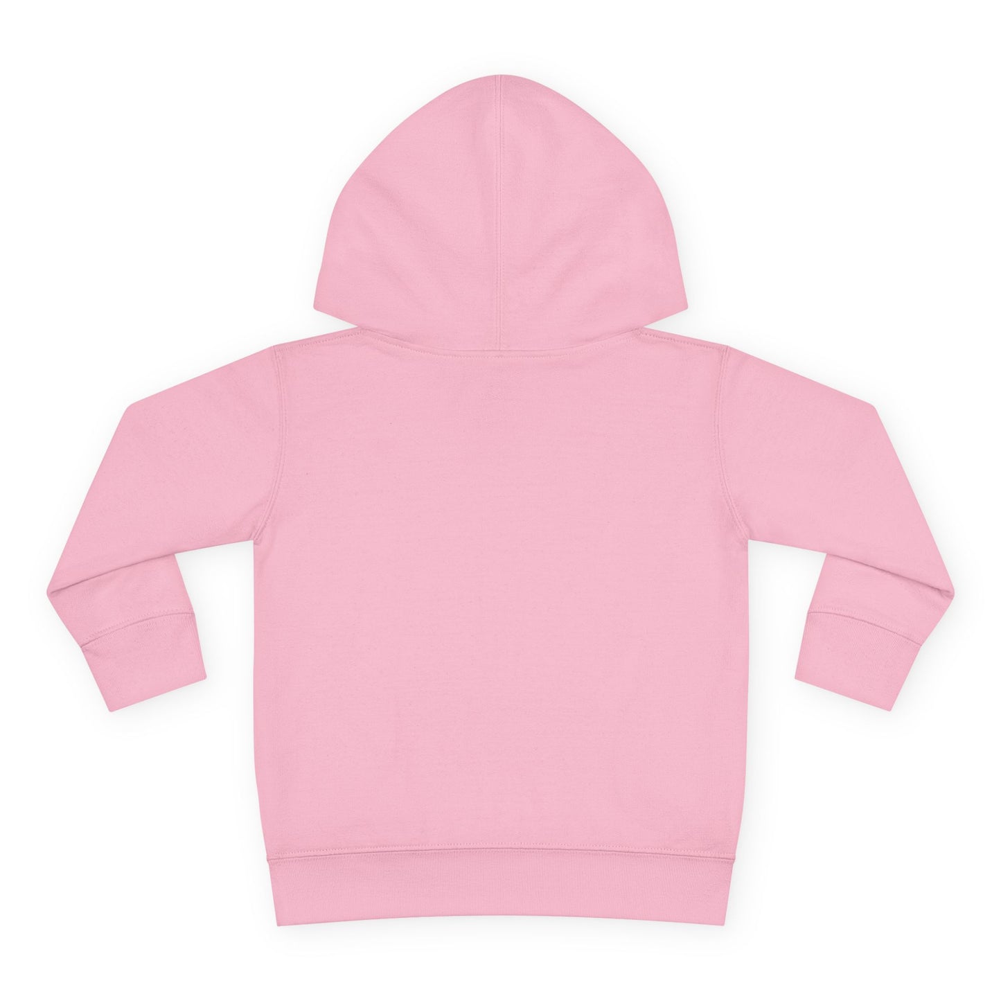 Toddler Hoodie — "My Auntie the Funtie" Cute Kids Pullover