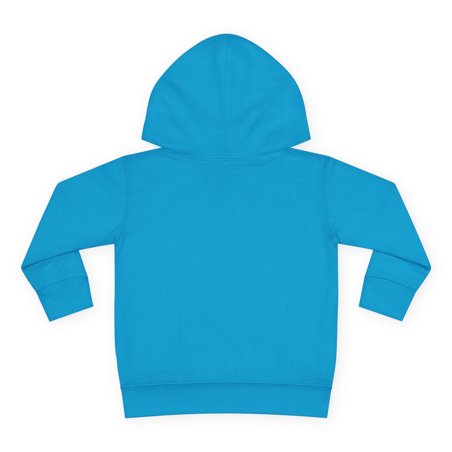 Toddler Hoodie — "My Auntie the Funtie" Cute Kids Pullover