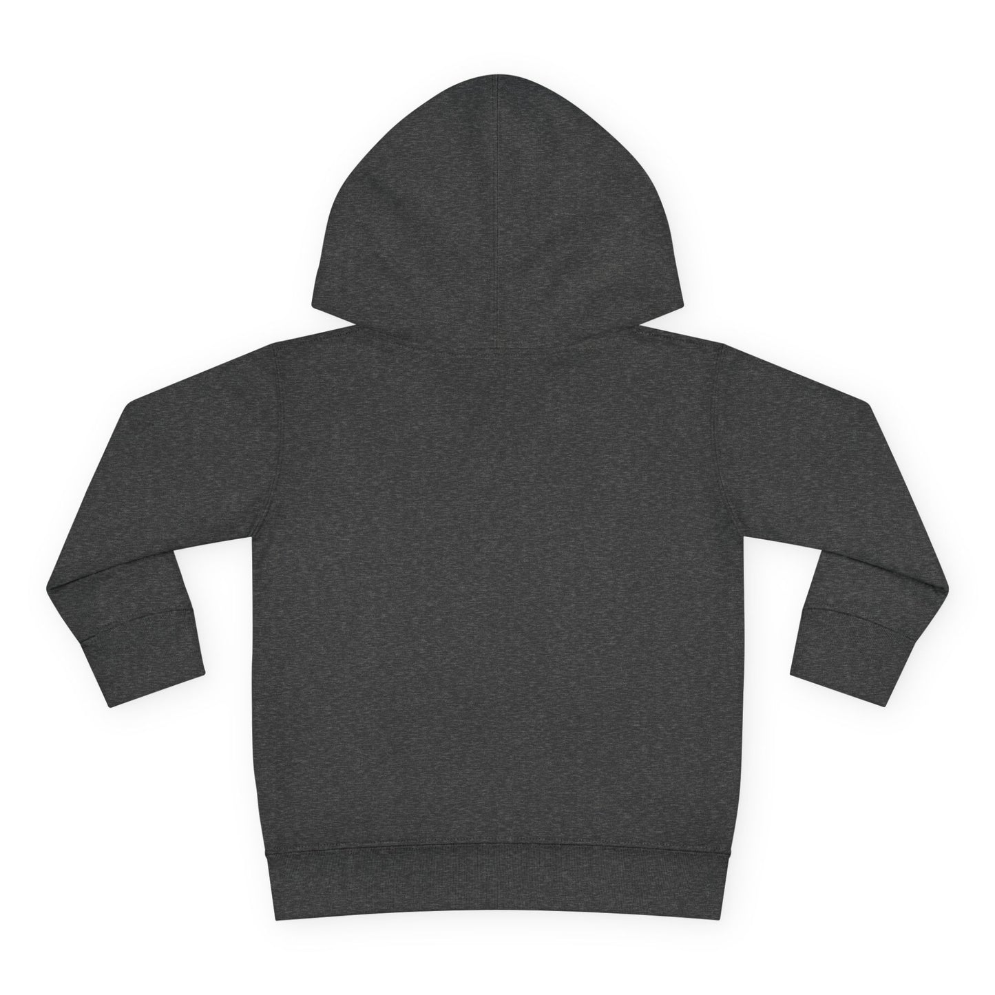 Toddler Hoodie — "My Auntie the Funtie" Cute Kids Pullover