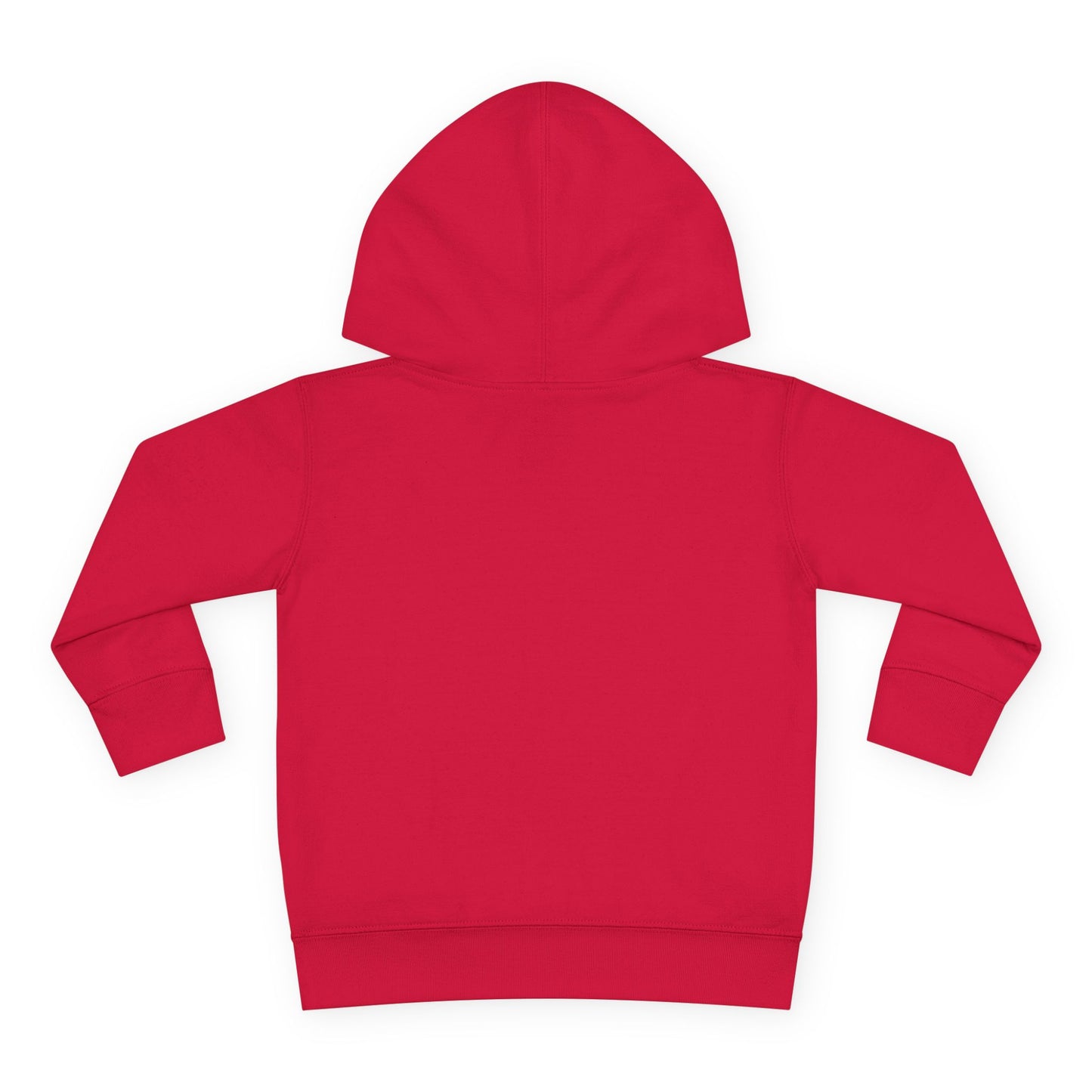 Toddler Hoodie — "My Auntie the Funtie" Cute Kids Pullover