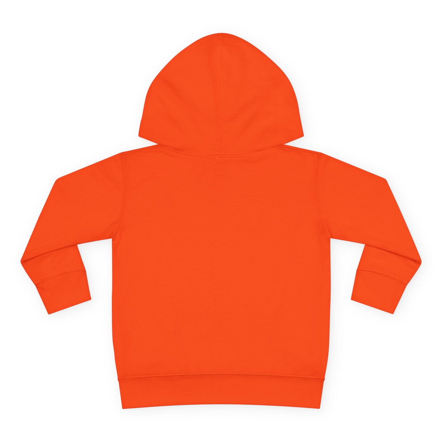 Toddler Hoodie — "My Auntie the Funtie" Cute Kids Pullover