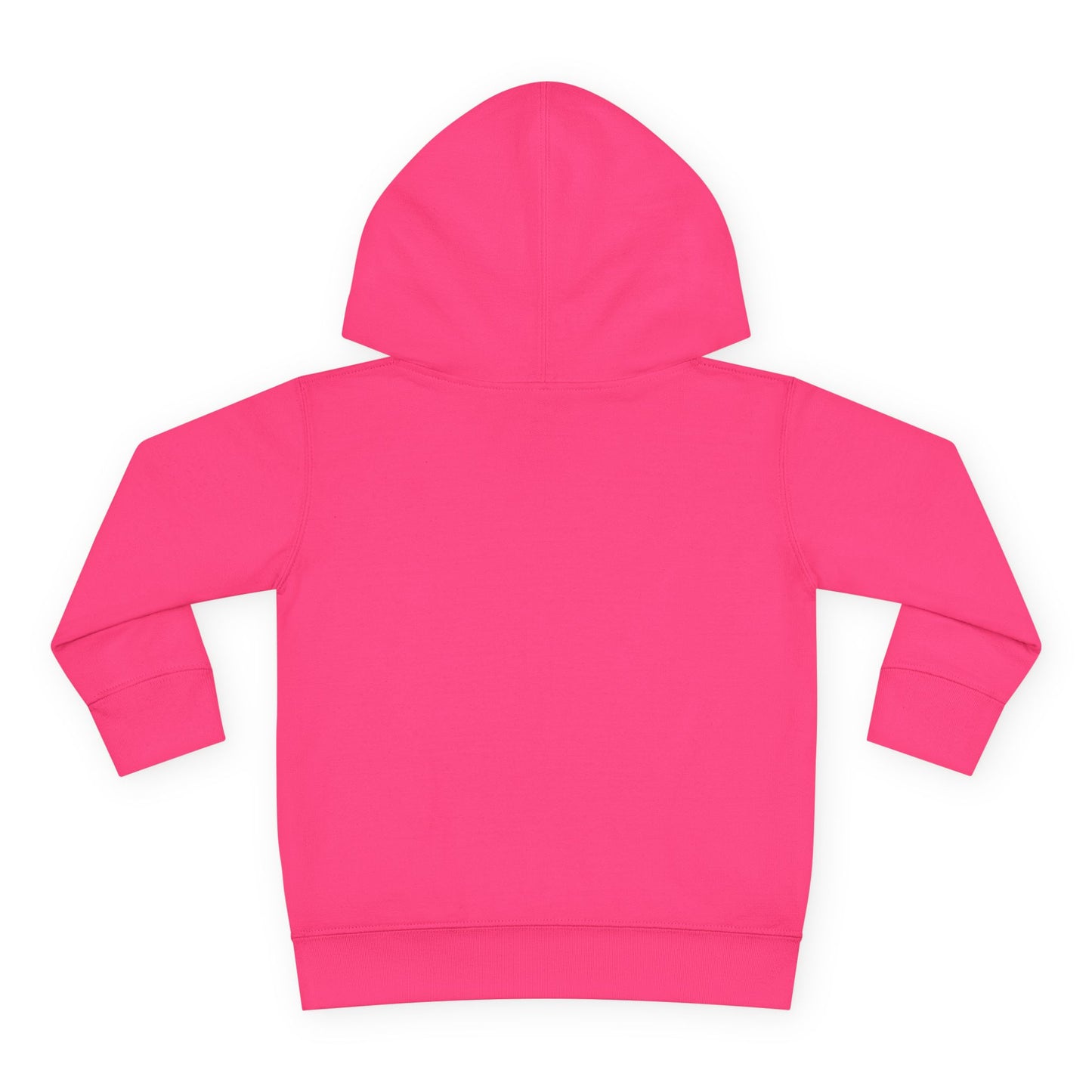 Toddler Hoodie — "My Auntie the Funtie" Cute Kids Pullover