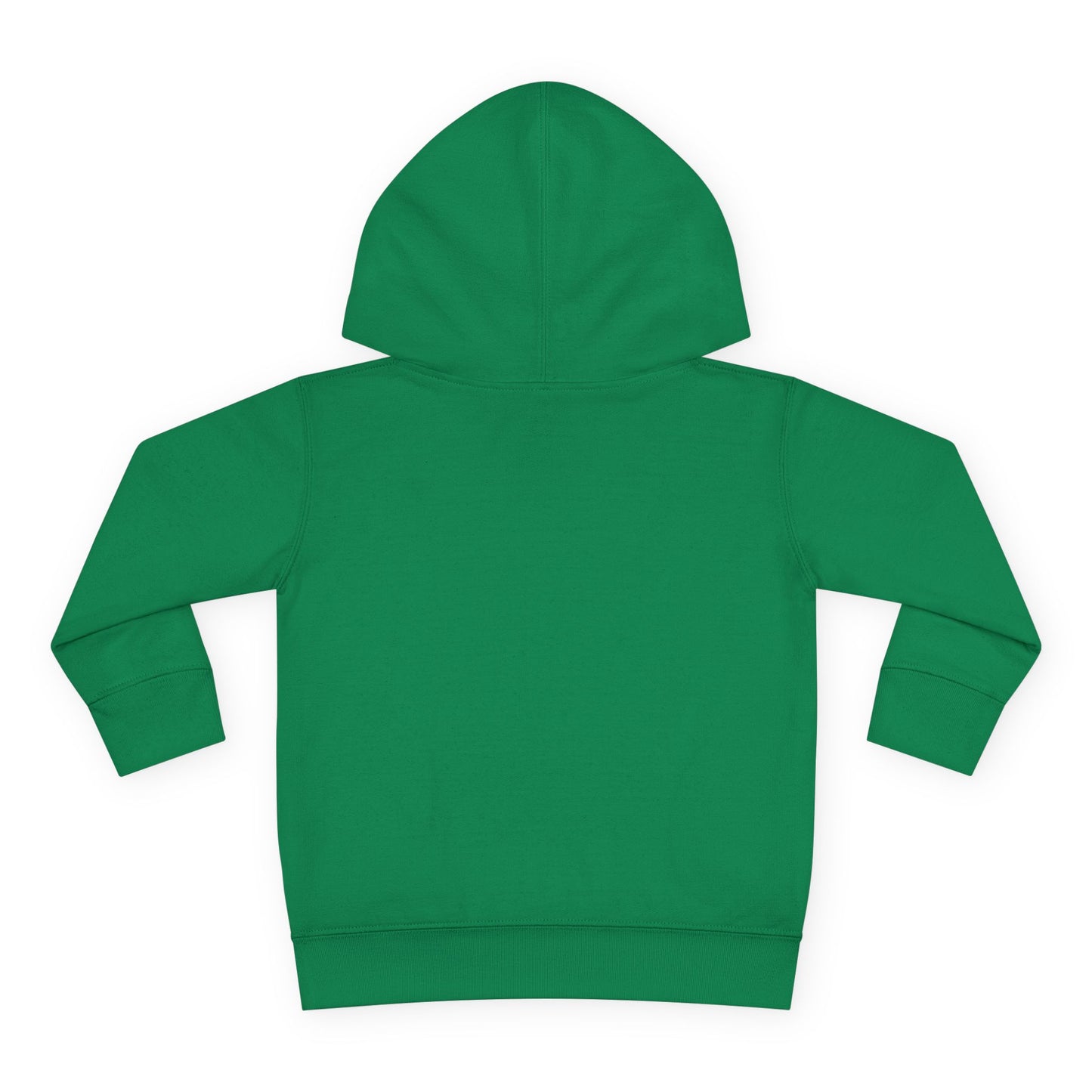 Toddler Hoodie — "My Auntie the Funtie" Cute Kids Pullover