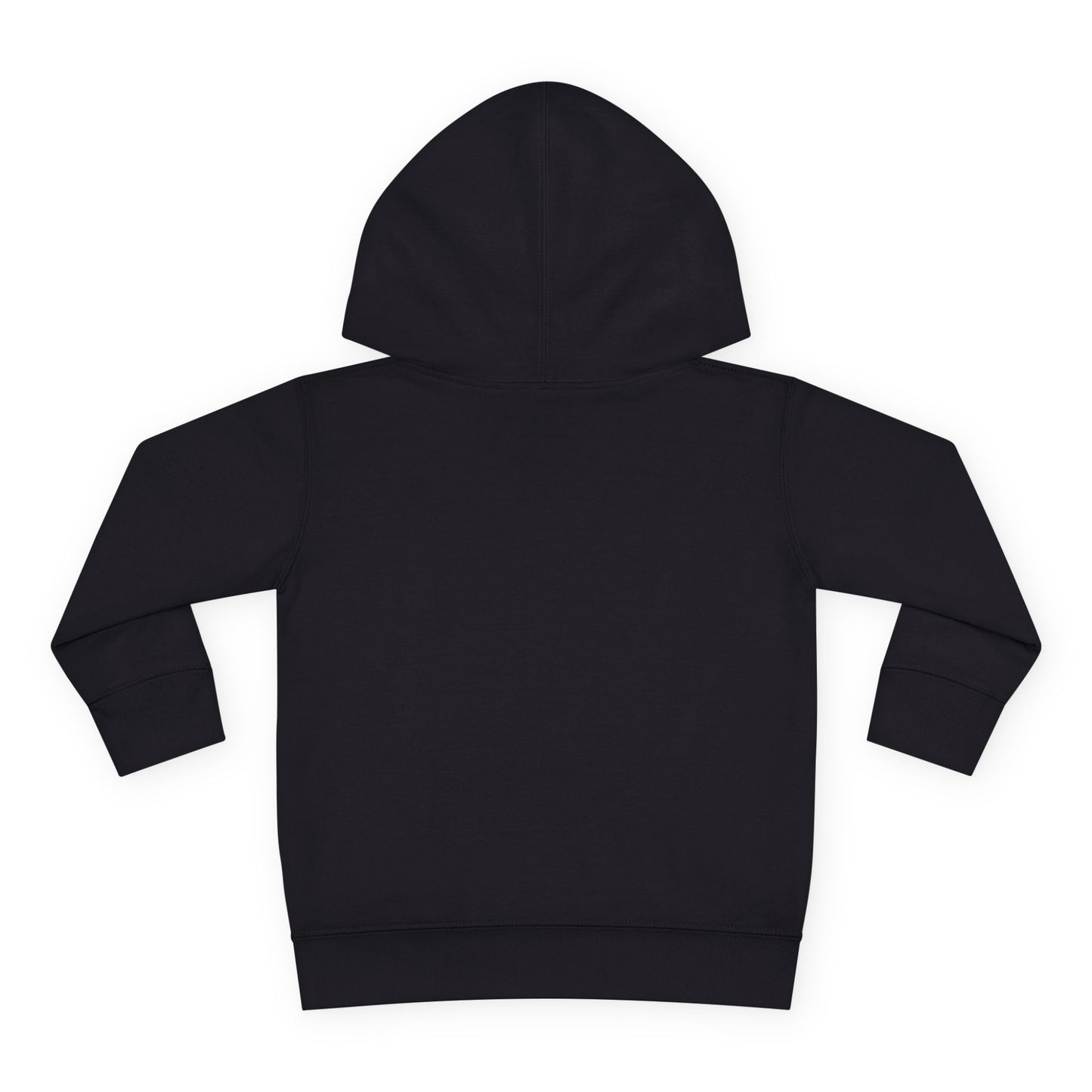 Toddler Hoodie — "My Auntie the Funtie" Cute Kids Pullover