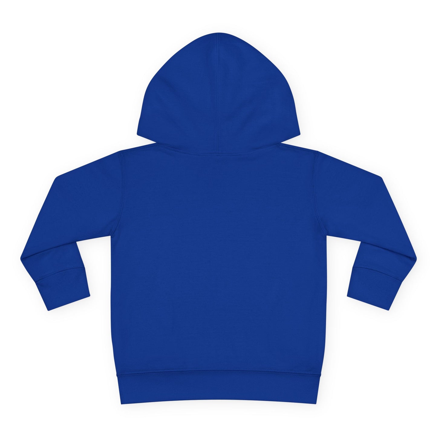 Toddler Hoodie — "My Auntie the Funtie" Cute Kids Pullover