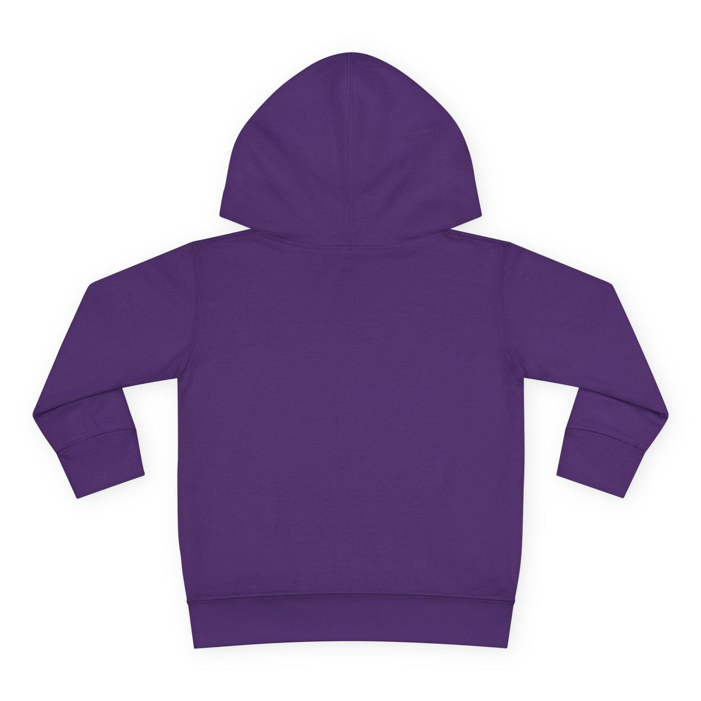 Toddler Hoodie — "My Auntie the Funtie" Cute Kids Pullover
